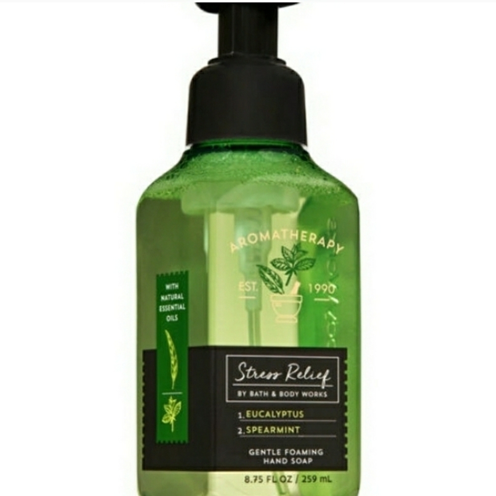 EUCALYPTUS & SPEARMINT 2 FOR $15 AROMATHERAPY FOAM HAND SOAPS